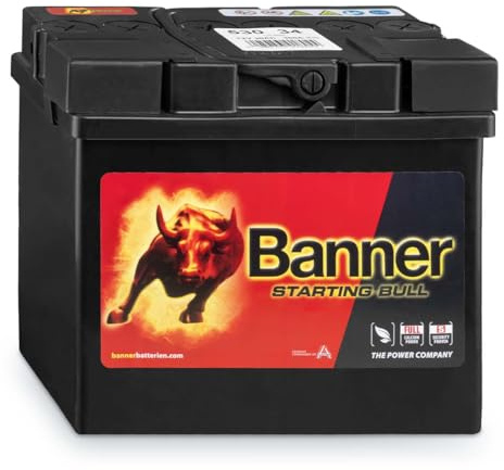 Banner 53034 Starting Bull 30Ah Autobatterie