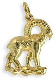 Sternzeichen Anhänger Steinbock 14 Karat Gold 585 (213104)