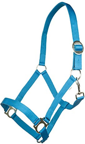 HKM Stars Economy Softice Halfter kornblau Kaltblut