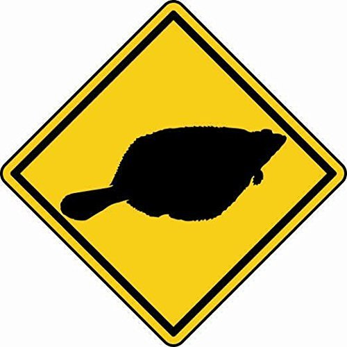 U24 Aufkleber Vorsicht Scholle Fisch Autoaufkleber Sticker