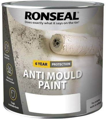 Ronseal AMPWS750 Anti Mould Paint White Silk 750ml (Packaging May Vary)