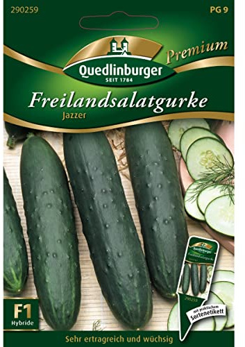 Salatgurken Jazzer F1,1 Portion
