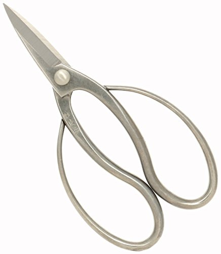 Kotobuki Stainless Steel Japanese Flower Arranging Shears, Slim Ohkubo