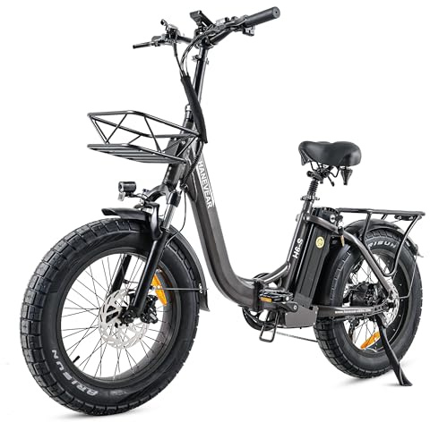 HANEVEAR Elektrofahrrad E Bike Klapprad mit 24Ah/48V Lithium-Akku | bis zu 140km, Fatbike Ebike mit Hydraulische Bremse, 250W 65Nm Heckmotor, Elektrofahrrad für Erwachsene (Grau)