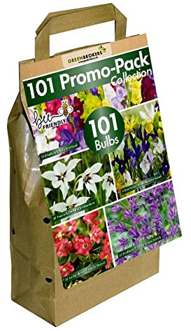 GreenBrokers 101 Promo Pack Collection Summer Flowering Bulbs, Mixed Colours (101 Bulbs, 5 Different Varieties) Bee & Butterfly Friendly