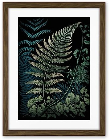 Artery8 Detailed Fern Frond Species Botanical Illustration Artwork Framed Wall Art Print 18X24 Inch