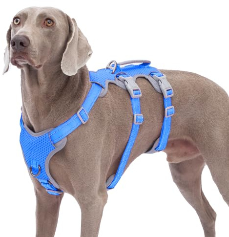 Huntboo Hundselen,Hundsele,Hundsele med handtag,Full Body Reflective,Justerbar No Pull Vest med mjuk andningsbar vadderad och kopplingsklämma för medelstora och stora hundar som promenerar