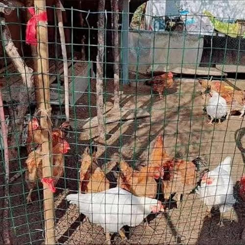 KJoBDwz Recinzione in Rete Metallica Recinzione in Rete da Giardino, Maglia da 3 cm, Diametro del Filo da 1,5 mm, Recinzione in Filo zincato(1x18m)