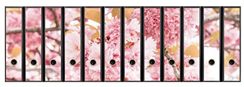 codiarts. Ordnerrücken selbstklebend | Etiketten Set für 12 breite Ordner | gestantzt mit Griffloch | Rückenschild breit | vintage Motiv alte Bücher