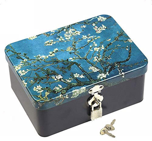 dream_light Retro Style Rectangle Tinplate Storage Box with Padlock, Home Kitchen Desktop Storage Tin Canister, Chocolate Candy Tea Coffee Cosmetics Jewelry Photos Gift Case (Apricot Flower)