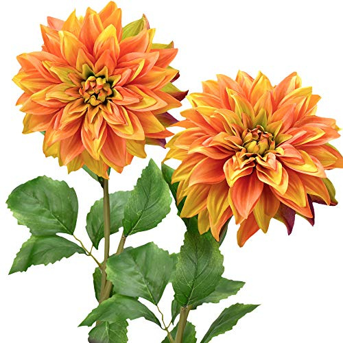 FiveSeasonStuff Artificial Flowers Dahlia Silk Flowers for Outdoors Indoors and Tall Vases 2 Stems (Amber Yellow Autumn Orange)
