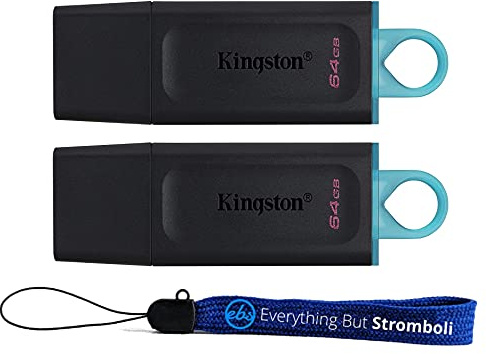 Kingston DataTraveler Exodia 64GB USB 3.2 Flash Drives (Bulk 2 Pack) Type-A Drive Gen 1 High Speed PenDrive for Computer, Laptop, PC (DTX/64GB) Bundle with (1) Everything But Stromboli Lanyard