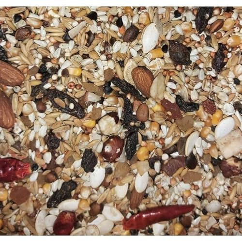AS30 NO PEANUT NO SUNFLOWER SEED MIX 2.5KG