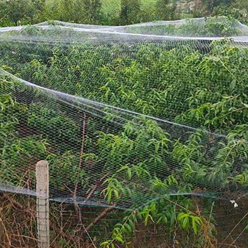 Ccsh Vogelschutznetz Obstbäume Spalier Gartennetz - 10 16 23 33 49 66 82 98 115 131 Ft Breit, Professioneller Weißschutz-Hirschzaun - für Anti-Vogel, mit Quadratischen Maschen (Size : 5x7m/16x23ft)