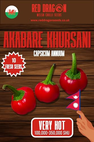 Akabare Khursani Chilli Seeds - 10 Fresh Dalle Khursani Pepper Seeds
