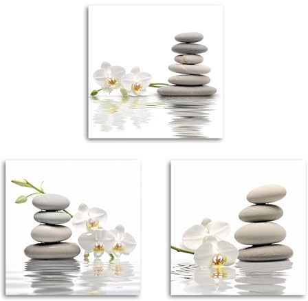 CXHOSTENT Zen Leinwand Wandbilder 3-teilig Zen Stein mit aquatischen Kunstdrucken Spa Bilder für Badezimmer Yoga Raumdekoration (B, 25.00 x 25.00 cms x 3PCS)