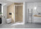 Porte de douche porte pivotante réversible SUPRA largeur 90 cm hauteur 1,90m profilé blanc verre sécurit 5mm transparent