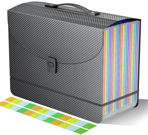 File Organiser Box Files Folder Document Organiser with Handle,25 Pockets Portable Document Folders for Paperwork A4,Concertina File Expanding Filing Box Paper Organiser for Office School Home,2x Tabs