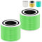 Schimmel Ersatzfilter für LEVOIT Core 300 300S | ‎Core 300-RF 3-in-1 HEPA Filter kompatibel mit LEVOIT Core 300 300S Luftreiniger, für für Allergiker Raucher-2 Stück, Grün
