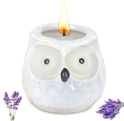Alaoo Velas Perfumadas para Mujer,Vela perfumada de búho Encantador,Blanco