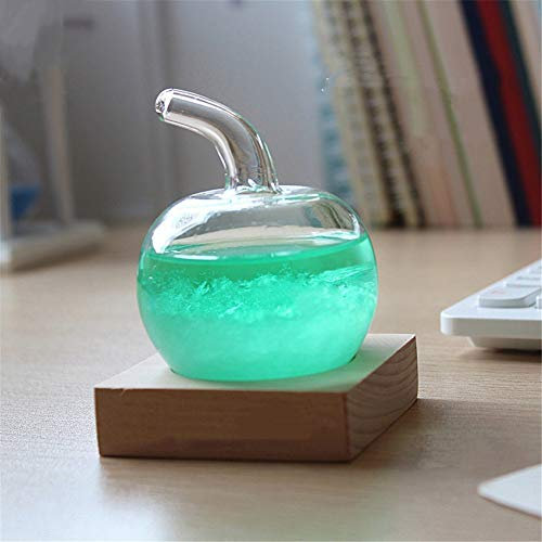 DELIBEST Predictor meteorológico de cristal de tormenta de pájaro, creativo y elegante, estación meteorológica predicadora, botellas de vidrio de tormenta, barómetro, decoración de escritorio