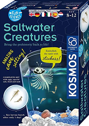 KOSMOS 616632 Fun Science -Wuselnde Salzkrebse, Erwecke die Urzeit zum Leben, Experimentierset für Kinder ab 8 Jahre, Komplett-Set, Eier, Futter, mehrsprachige Anleitung (DE, EN, FR, IT, ES, NL)