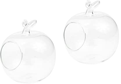 YARNOW 2piezas Jarrón De Transparente Forma De Manzana Para Paisajismo Decoración Creativa Para Interiores Para Plantas y Flores Original Para
