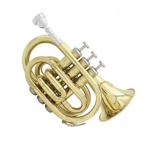 Mini-Taschentrompete Bb Flache Messing-Blasinstrument-Handschuhe Tragetasche Langlebige Taschentrompete