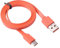 Replacement Flat USB Type-C Charger Charging Cable Power Cord Wire Compatible with JBL Charge 4 JBL Charge 5 JBL Flip 5 JBL Pulse 4 JBL JR POP JBL Endurance Peak Portable Wireless Speaker (Orange)