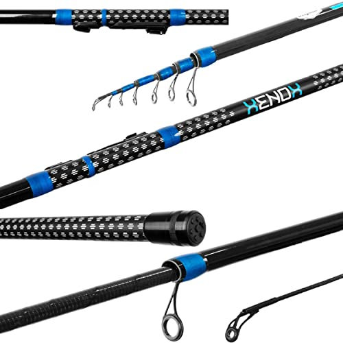 Delphin XENOX Bolognese Rute 6,0m/292g / Wg.<30g/ high Carbon beringte Stipprute