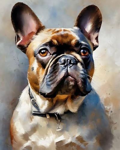 ZMHZMY Malen nach Zahlen Erwachsene, Französische Bulldogge DIY Handgemalt Ölgemälde Kits auf Leinwand Geschenk für Weihnachten Geburtstag Home Haus Deko - Ohne Rahmen