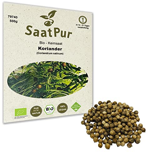 500g BIO Keimsprossen Koriander Keimsaat Sprossensaat Microgreens Keimling Sprossen
