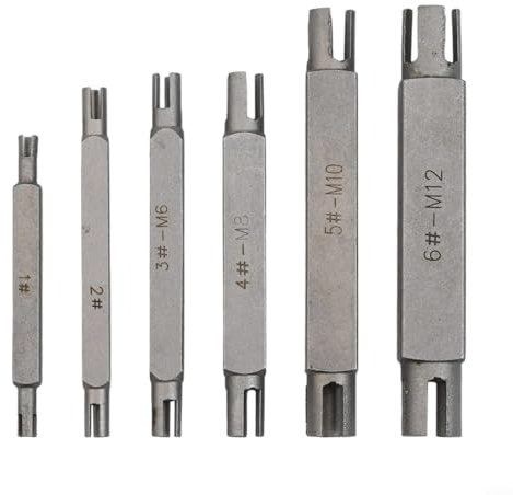 Lot de 6 extracteurs de tarauds robustes pour enlever les robinets cassés avec double extrémité