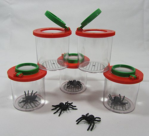 Becher Lupe Becherlupe Lupenbecher Lupendose Maxi 5 Stück Top Qualität