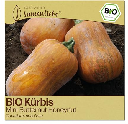 Samenliebe BIO Kürbis Samen | Mini-Butternut Honeynut - mini & süß - samenfestes BIO Saatgut