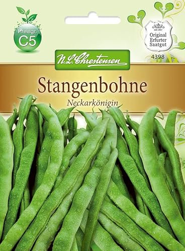 N.L.Chrestensen 4398, Stangenbohnen Neckarkönigin, Grün