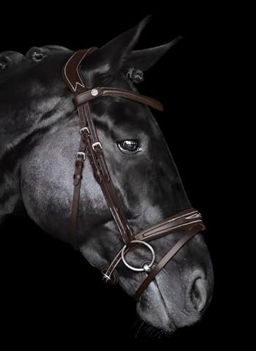BRIDLERY Trense Focus Beschläge Silber, Farbe Braun, Größe Vollblut