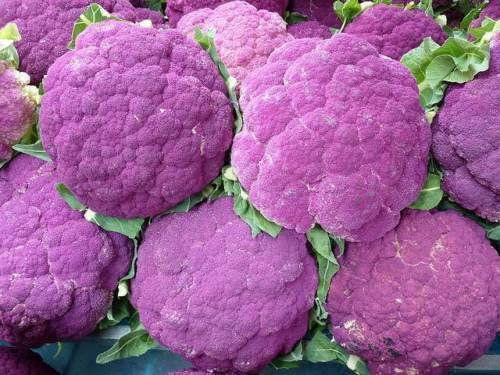 50 Semi di Cavolfiore Alto Siciliana