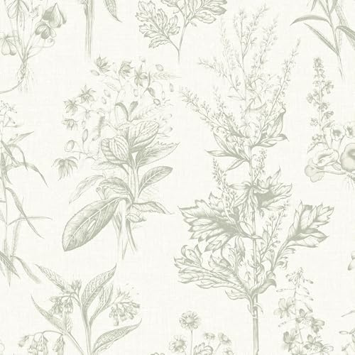 Superfresco Easy Herbarium Sage Wallpaper | Paste the Wall | Green Floral | Eco-Friendly