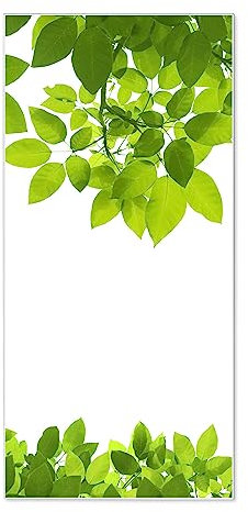 banjado® Magnettafel 37 x 78cm / Magnetwand aus Metall/Magnetpinnwand als Memoboard/Pinnwand Magnettafel Küche, Büro, Kinderzimmer inkl. 4 Magnete & Montageset - Motiv Rahmen Blätter