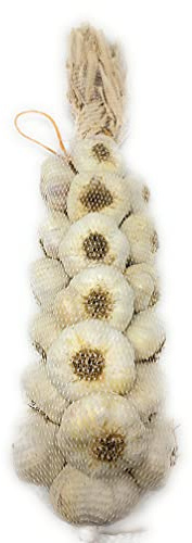 Garlic Braid - 19 Bulbs - California Grown