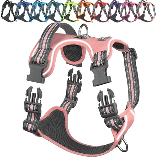 VIVAGLORY Anti Zieh Geschirr für Hunde Hundegeschirr, XS, Hellrosa, A | Antizuggeschirr mit Gepolstert Griff & Brustring, Anti Zieh Mitwachsend Ausbruchsicher & Reflektierend für Welpe Hund
