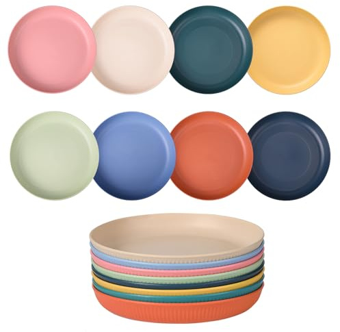 Qaixwuyi 8 platos de plástico reutilizables grandes para camping, platos de barbacoa de colores, 22,7 cm, irrompibles, para ensaladas, pasta, fiesta, hogar, exterior y hogar