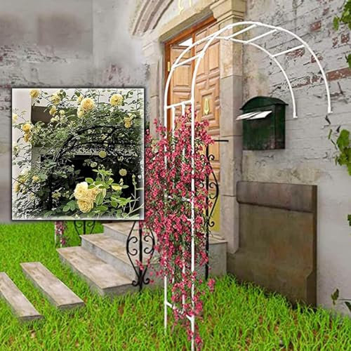 Marco de soporte automático de medio arco para plantas trepadoras, enrejado blanco, 90 x 240 x 40 cm, ideal para rosales y vides, decoración duradera de jardín
