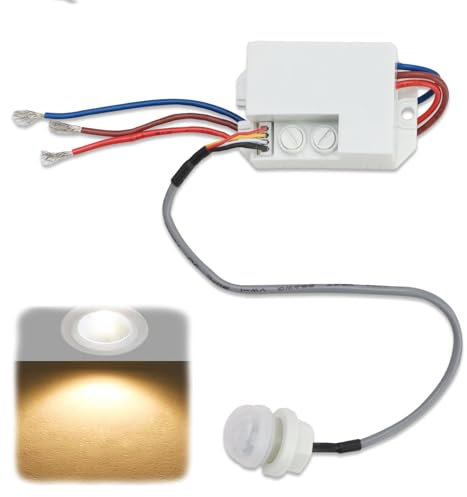 Vidacharmy Interruptor de Sensor infrarrojo Ajustable, Mini Detector de Movimiento infrarrojo para instalación en Interiores, Detector de Movimiento Incorporado de 220V, Alcance 6m/120°