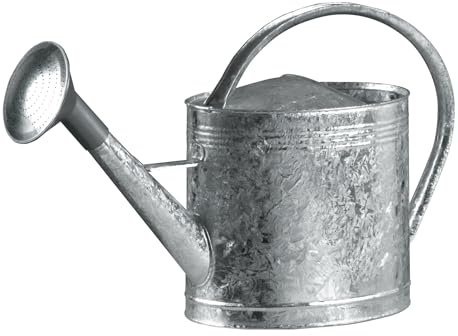ARROSOIR EN ACIER GALVANISE 13 LITRES AVEC POMME FORGES DE MAGNE - 388412