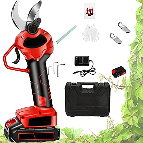 Forbici elettriche da potatura, forbici da potatura con batterie 21V, lama da 40mm, forbici da potatura portatili attrezzi da potatura professionali da giardinaggio,1battery-2blade