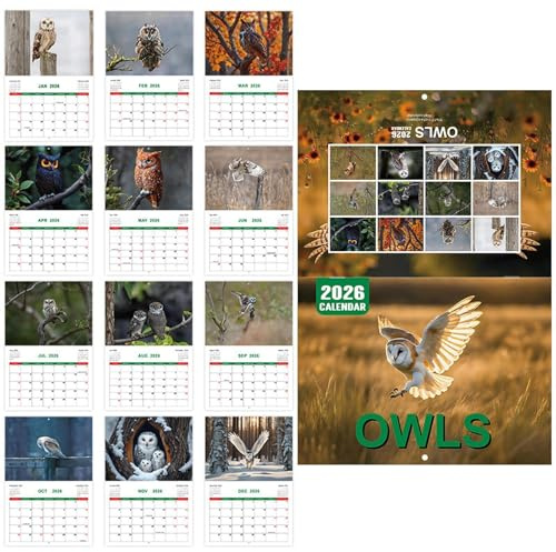 Calendario de pared de búho 2026 | Planificador mensual 2026: gestión personal del tiempo, organización de suministros para la lista de tareas, objetivos, citas, planificación de vacaciones