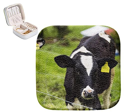 Caja organizadora de joyas de cuero PU pequeño caso de joyería becerro vacas lecheras jóvenes pastos verdes