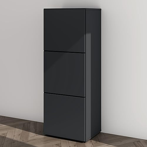 Mai & Mai Armoire à Chaussures Commode Entrée Gris Noir Mat | Meuble de Rangement à Chaussure, Commode à Chaussures, avec 3 Compartiments, Range-Chaussures, 45x36x120cm, ACH2